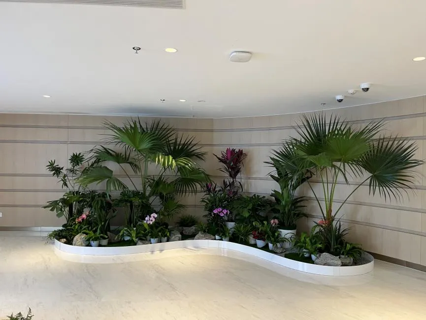 奉化绿化修剪哪家好 奉化绿化修剪哪家好